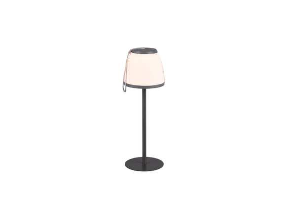 Lampada tavolo da Esterno a LED in Plastica Antracite acquista