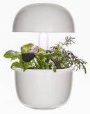 Sistema Idroponico a Led per Coltivazione Idroponica Plantui 3e Smart Garden Bianco-4