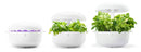 Sistema Idroponico a Led per Coltivazione Idroponica Plantui 6 Smart Garden Grigio-2