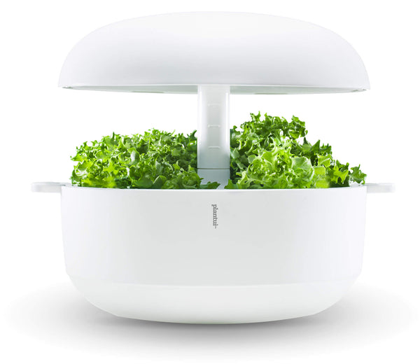 sconto Sistema Idroponico a Led per Coltivazione Idroponica Plantui 6 Smart Garden Bianco