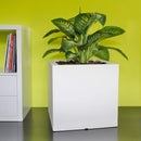 Vaso 49x49x48cm in Polietilene Vanossi Atlantis Bianco-2