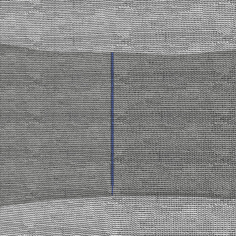 Rete di Protezione per Trampolini a 6 Pali con Ingresso con Cerniera Ø244x180 cm in PE Nero e Blu-8