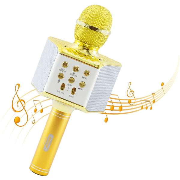 Microfono Karaoke Wireless con Luci Led Registra Canta e Riproduce Musica Oro sconto