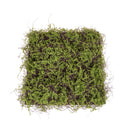 Mattonella di Lichene Dimensione 50x50 cm-1