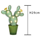 Lampada Cactus con Luci H 29 cm-2