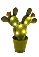 Lampada Cactus con Luci H 29 cm-3