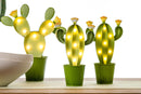 Lampada Cactus con Luci H 24 cm-4