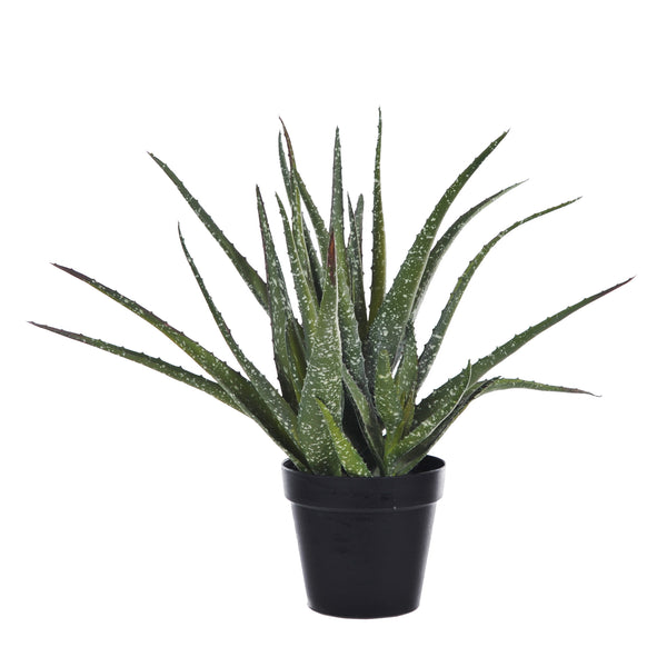 Pianta Artificiale Hawortia Aloe con Vaso H 355 cm acquista