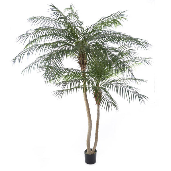 online Ramo Artificiale Phoenix Palm a 2 Diramazioni con Vaso H 230 cm
