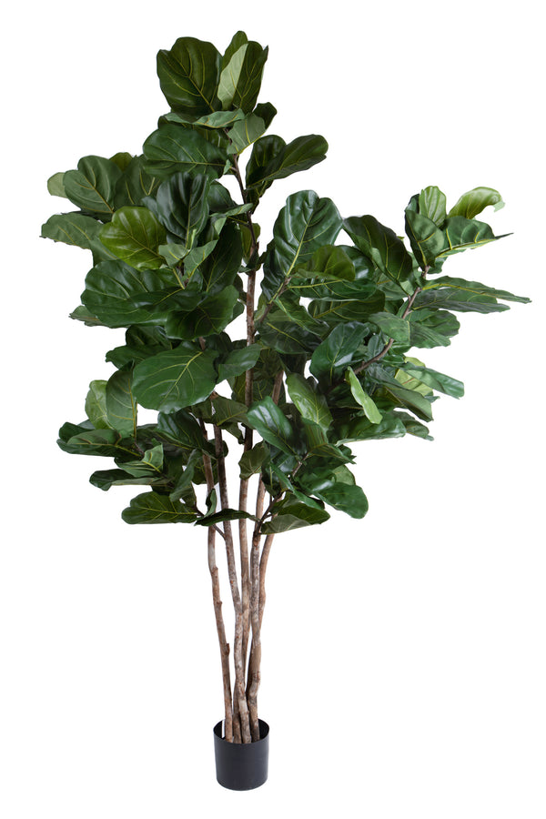 sconto Pianta Artificiale Ficus Lyrata 220 cm 129 F con Vaso