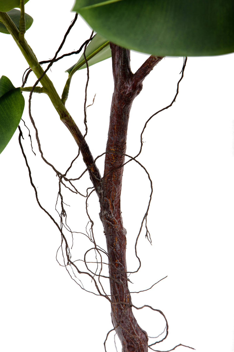 Pianta Artificiale Real Touch Rubber Ficus 210 cm con Vaso-3