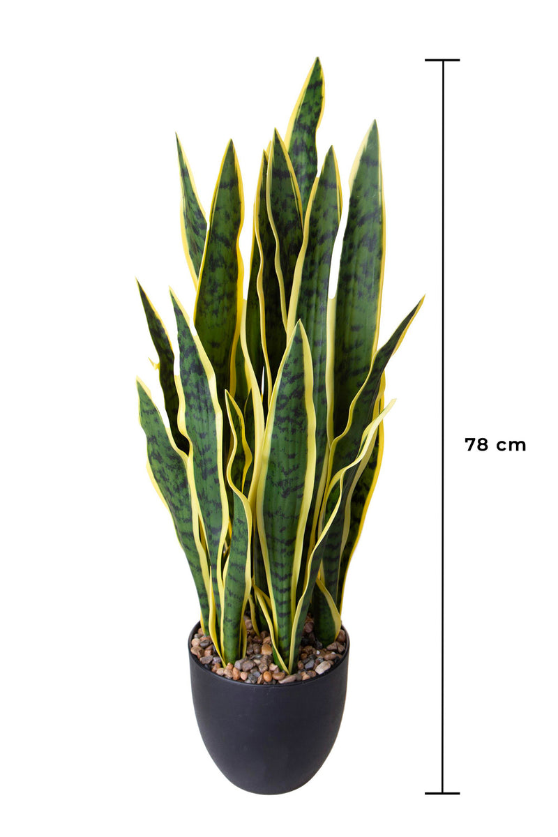 Pianta Artificiale Sanseveria con Vaso 78 cm -2