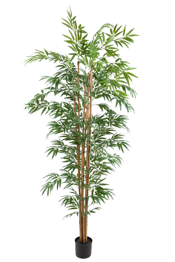 acquista Pianta Artificiale Bamboo Italiano con Vaso H 240 cm