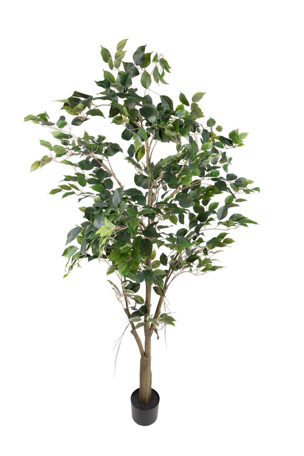 Pianta Artificiale Ficus con Vaso H 183 cm sconto