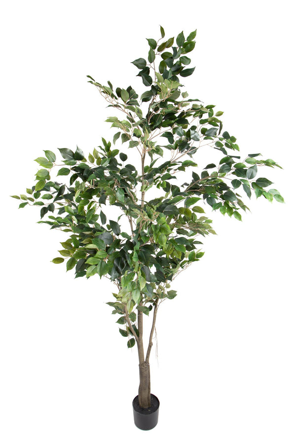 prezzo Pianta Artificiale Ficus con Vaso H 213 cm