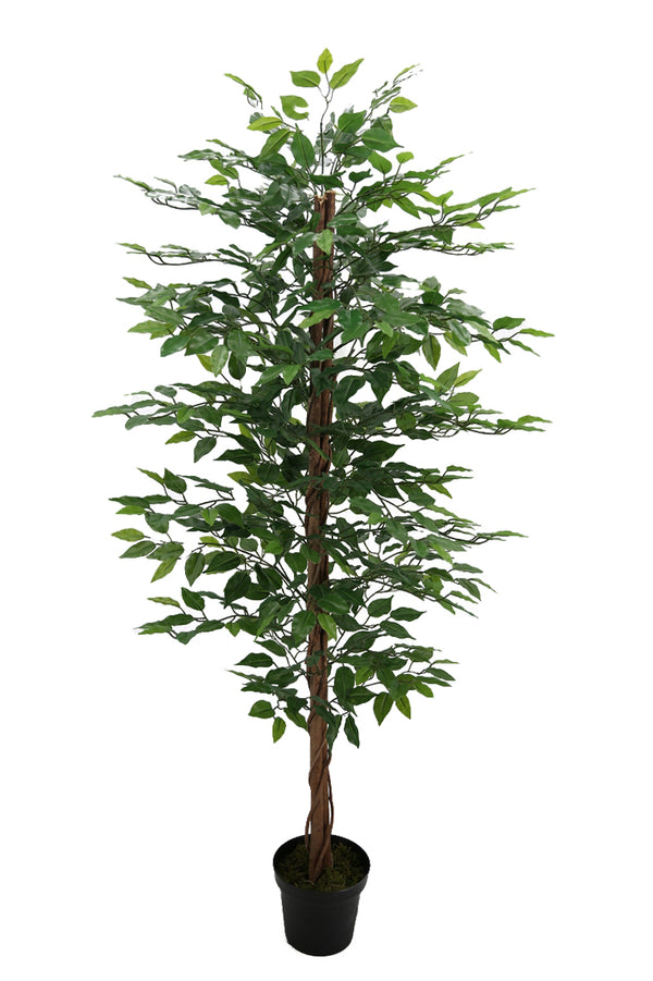 Pianta Artificiale Ficus Tree con Vaso 170 cm online