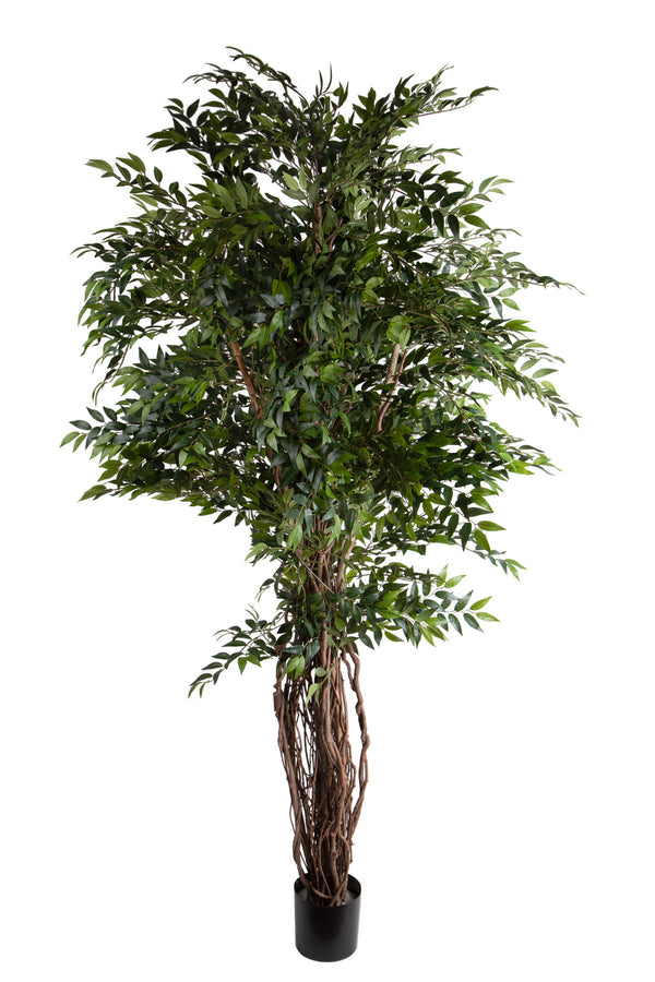 Pianta Artificiale Ficus 225 cm con Liane 5278 F con Vaso sconto