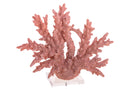 Corallo Resina con Base H 30 cm-1