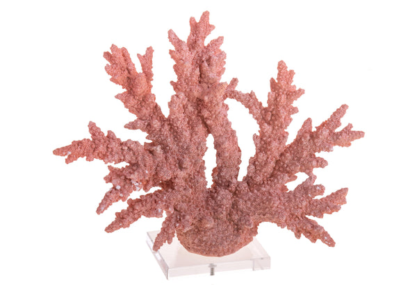 Corallo Resina con Base H 30 cm acquista