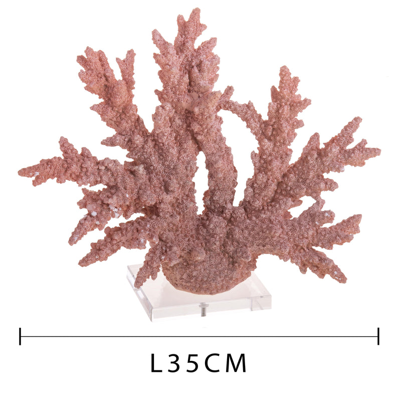 Corallo Resina con Base H 30 cm-2
