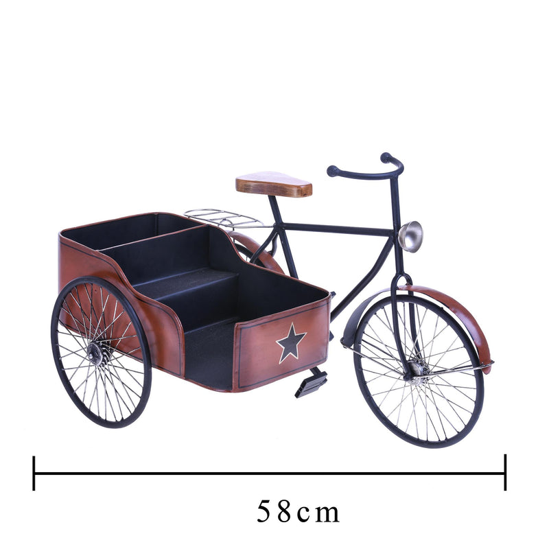 Modellino Bici Sidecar con Contenitore Larghezza 58 cm-2