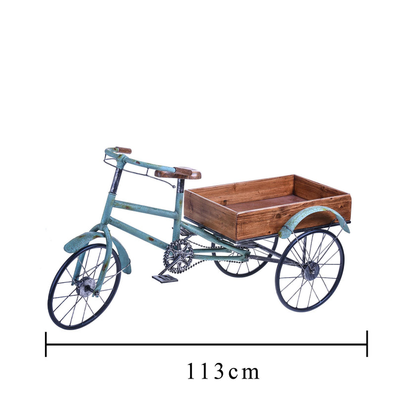 Modellino Bicicletta con Contenitore 113 cm-2
